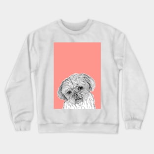 Shih Tzu Dog Portrait ( coral background ) Crewneck Sweatshirt